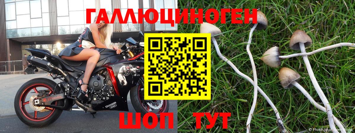 Псилоцибиновые грибы Psilocybe  Вход с VPN  Псилоцибиновые грибы ЛСД  Арзамас 
